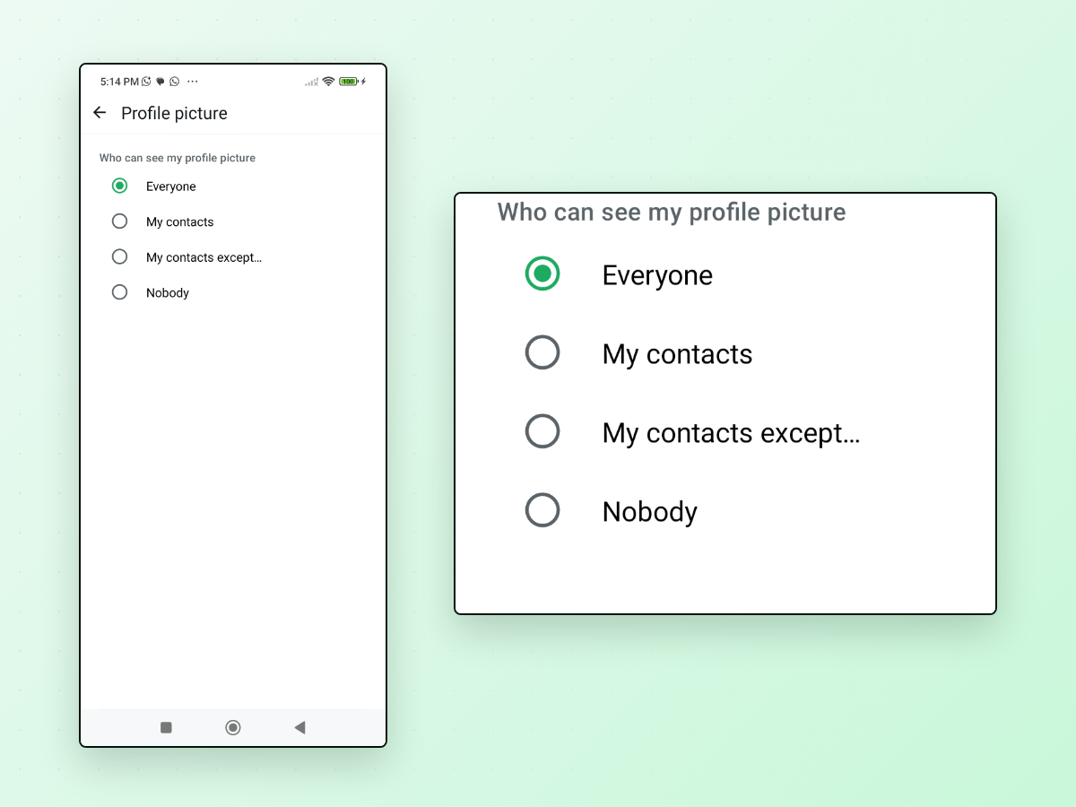WhatsApp's Profile picture privacy screen under the heading Who can see my profile picture, with four options — Everyone selected, then My contacts, My contacts except…, and Nobody